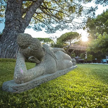 Zen Ste Maxime Avec Vue Villa