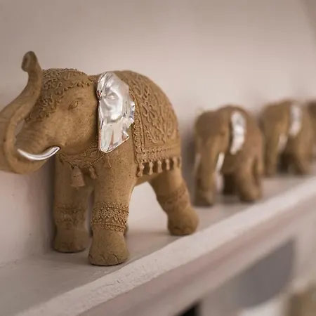 Zen Ste Maxime Avec Vue *