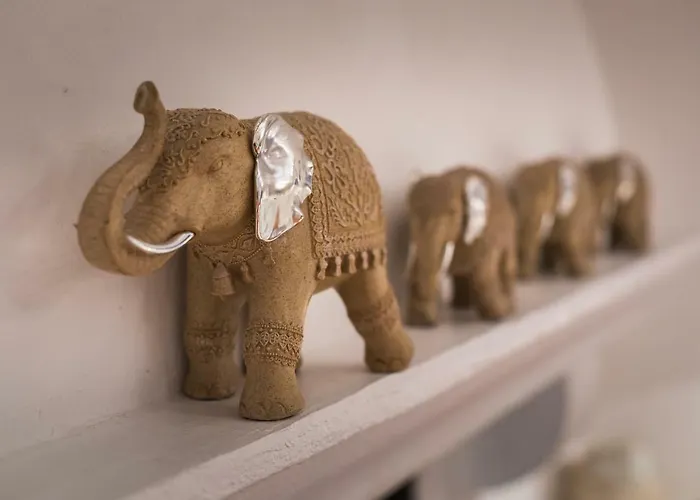 Zen Ste Maxime Avec Vue *